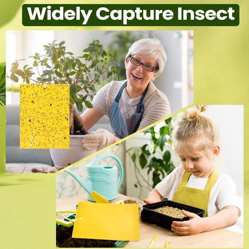 Double Sided Sticky Bug Traps - Image 4