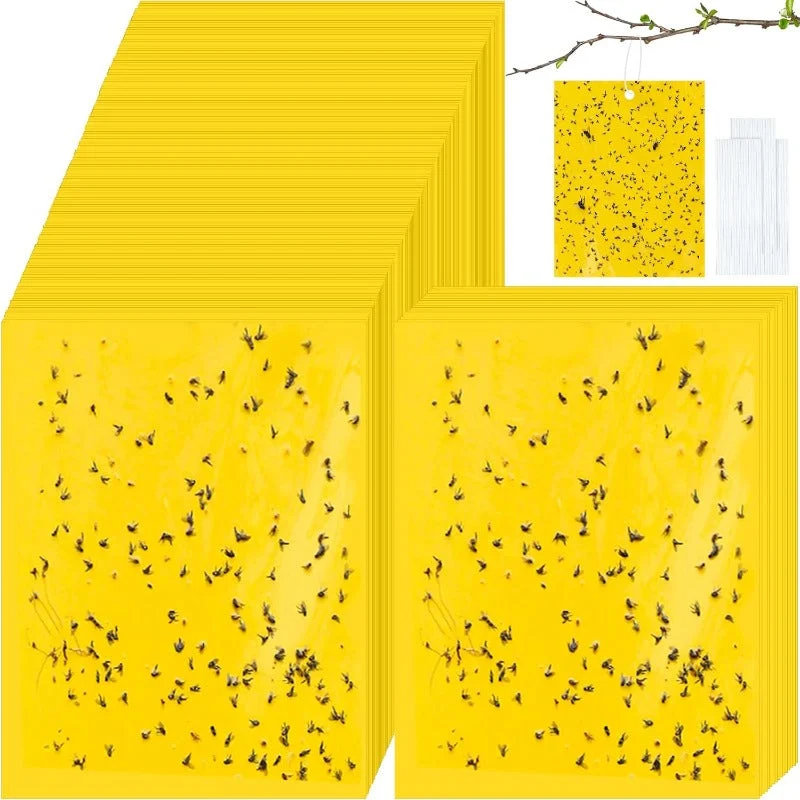 Double Sided Sticky Bug Traps - Image 8