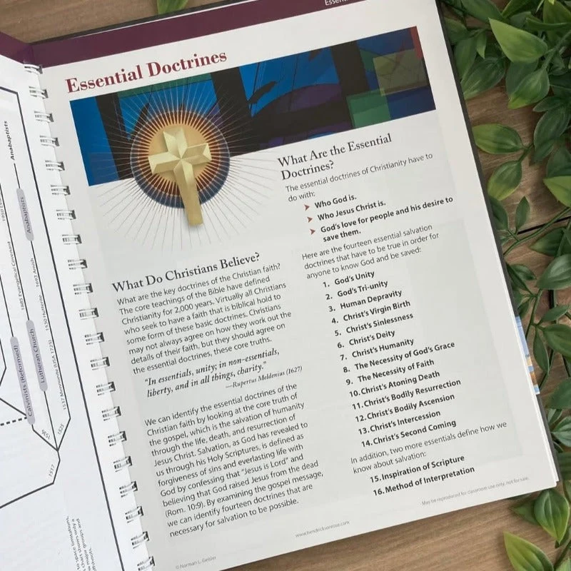 Visual Bible Study Guide - Image 6
