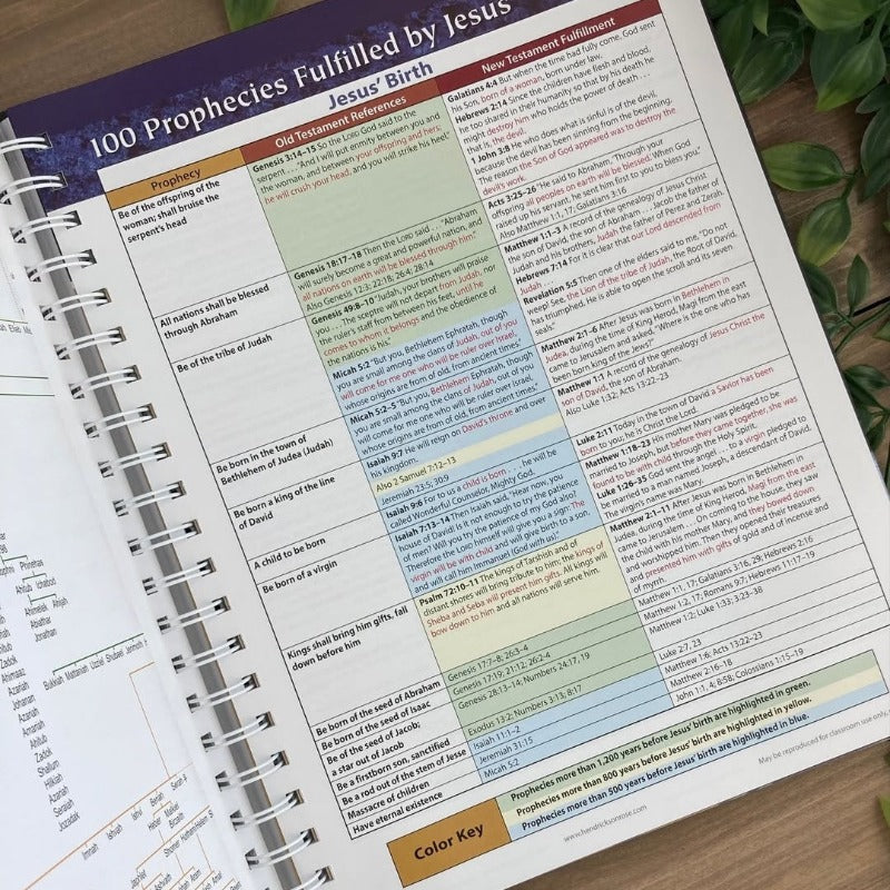 Visual Bible Study Guide - Image 7